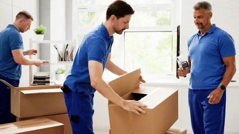 ap packers and movers in nellore