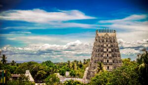 ap packers and movers in nellore