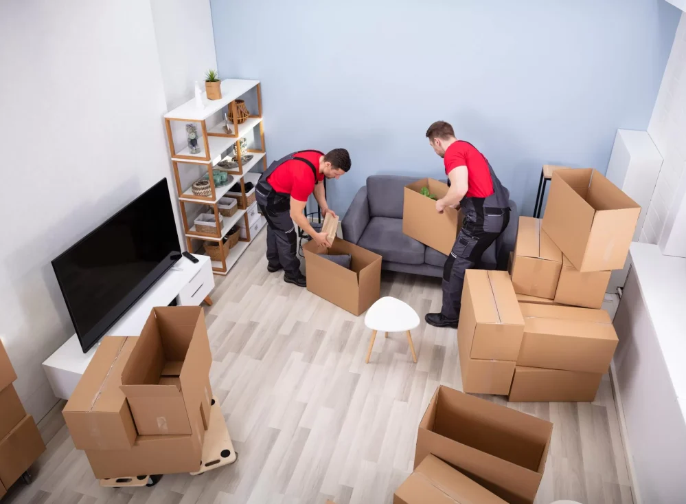 ap packers and movers nellore ap packers and movers nellore