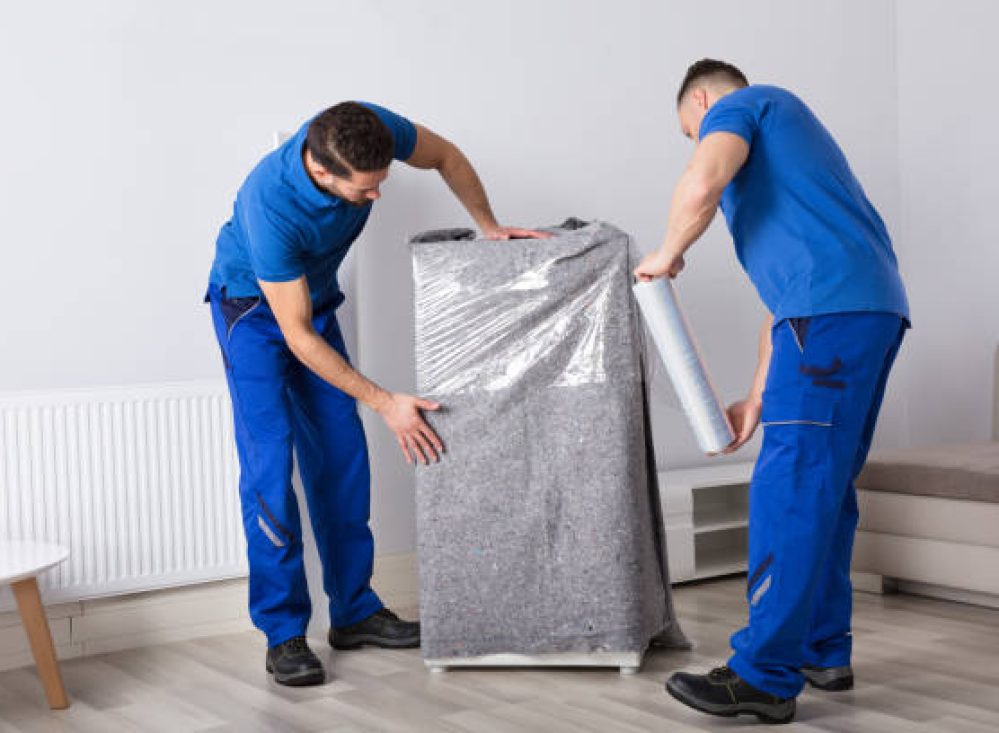 ap packers and movers nellore ap packers and movers nellore