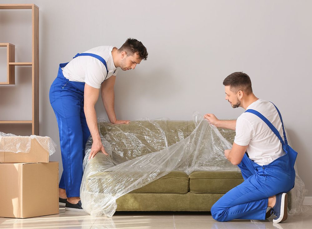 ap packers and movers nellore ap packers and movers nellore