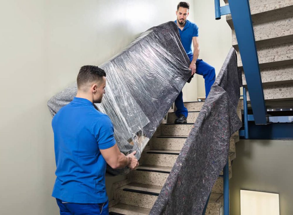 ap packers and movers nellore ap packers and movers nellore